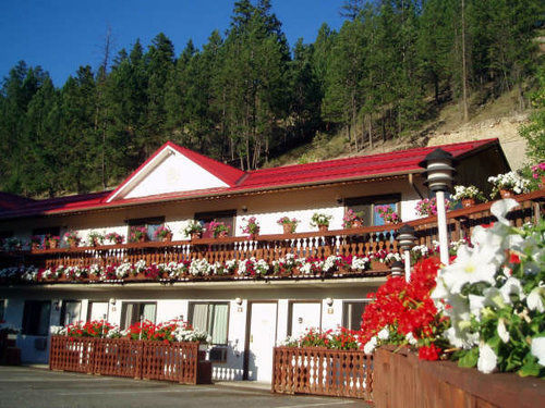 Alpen Motel Radium Hot Springs Exteriör bild